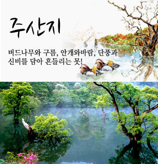 주산지 사진